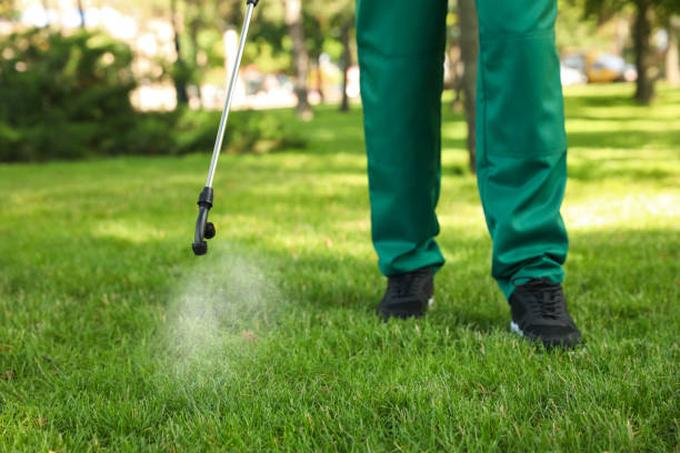 Best Best Pest Control Companies  in Lackawanna, NY
