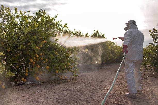 Best Commercial Pest Control Services  in Lackawanna, NY