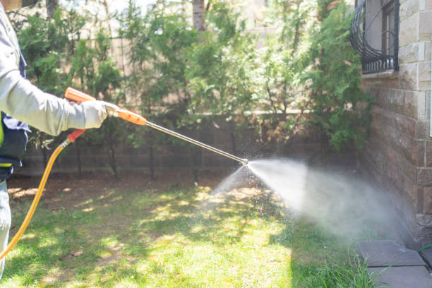 Best Insect Control  in Lackawanna, NY