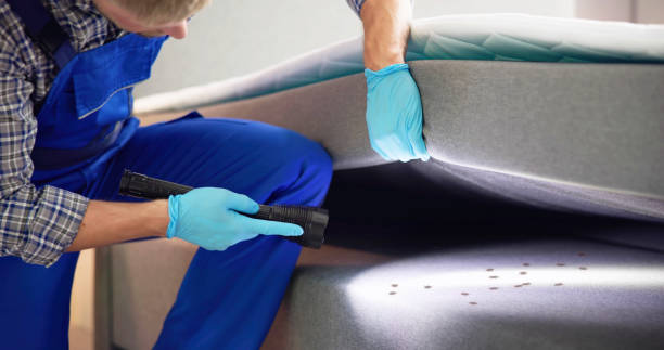 Professional Pest Control in Lackawanna, NY